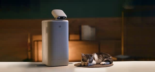 Feeding & Monitoring Devices