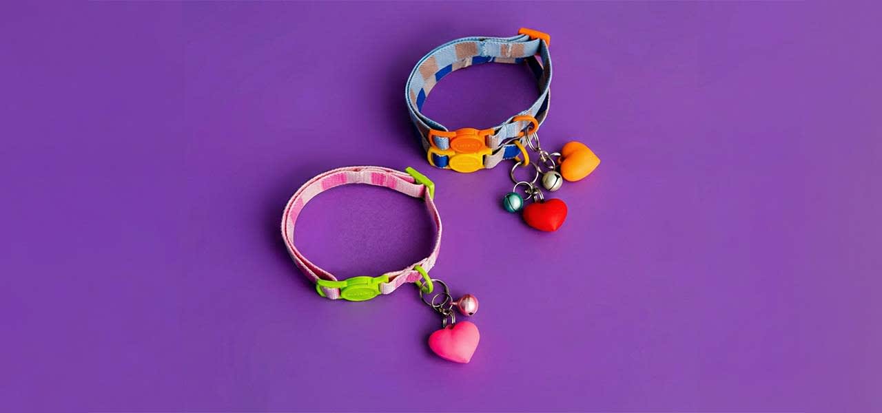 Pet Products & Accessories in India – 21GenX