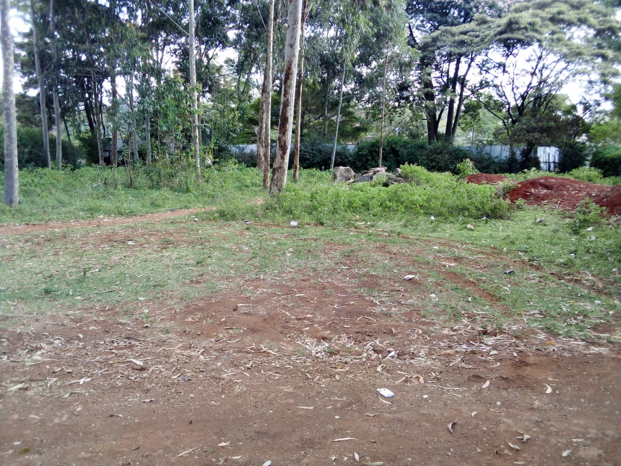 land_plot in Mokoyeti West Rd, Karen