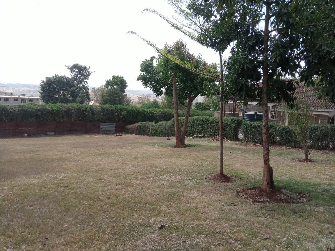 house in Zambia, Ngong