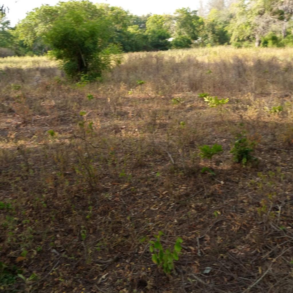 land_plot in Lamu, Mapenya