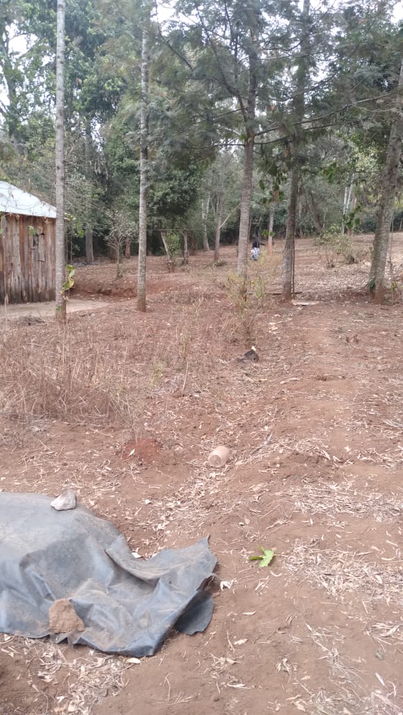 land_plot in Hardy, Karen