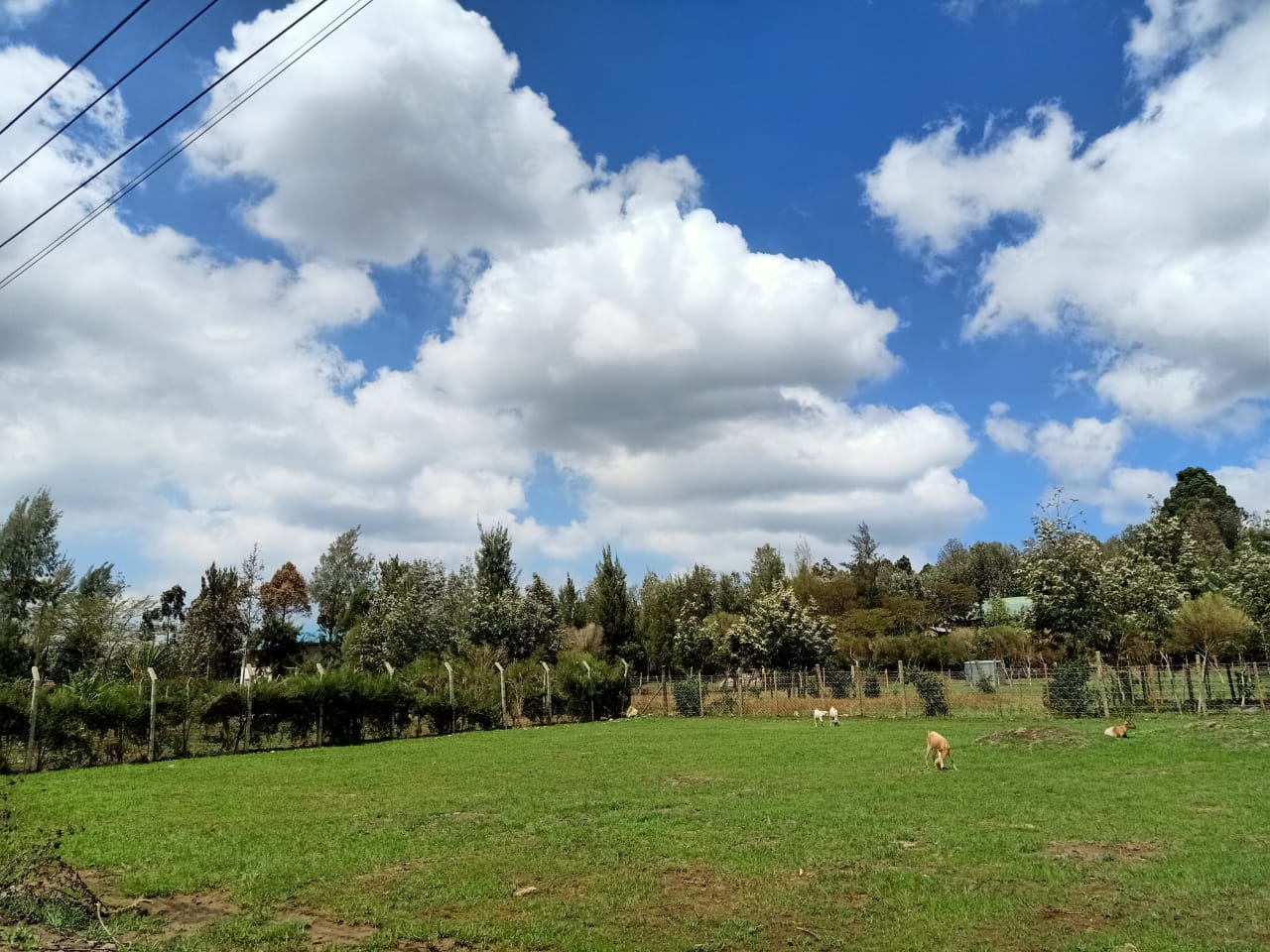 land_plot in Kibiko, Ngong
