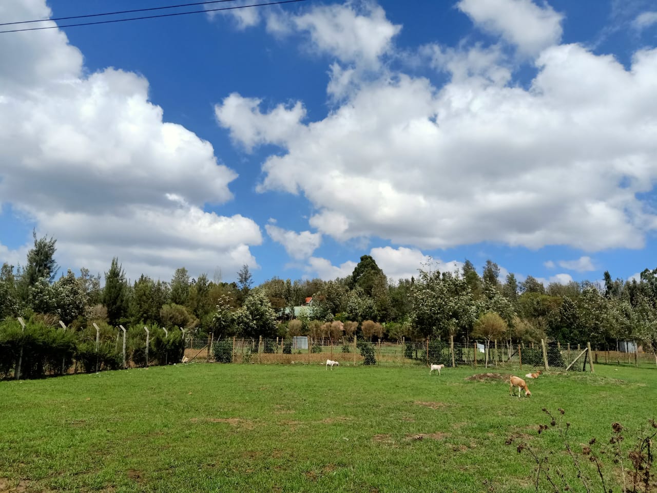 land_plot in Kibiko, Ngong