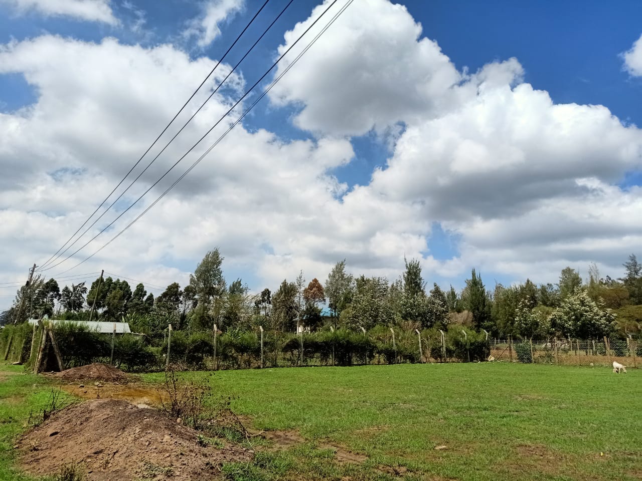 land_plot in Kibiko, Ngong