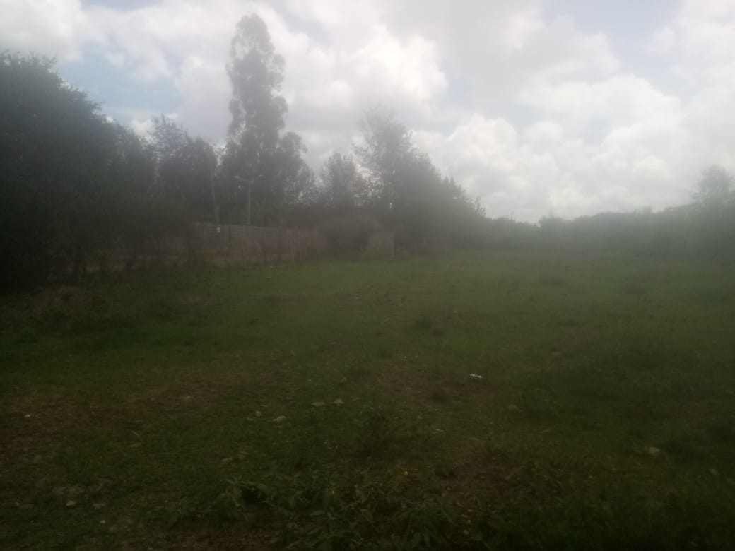 land_plot in Karen, Nairobi