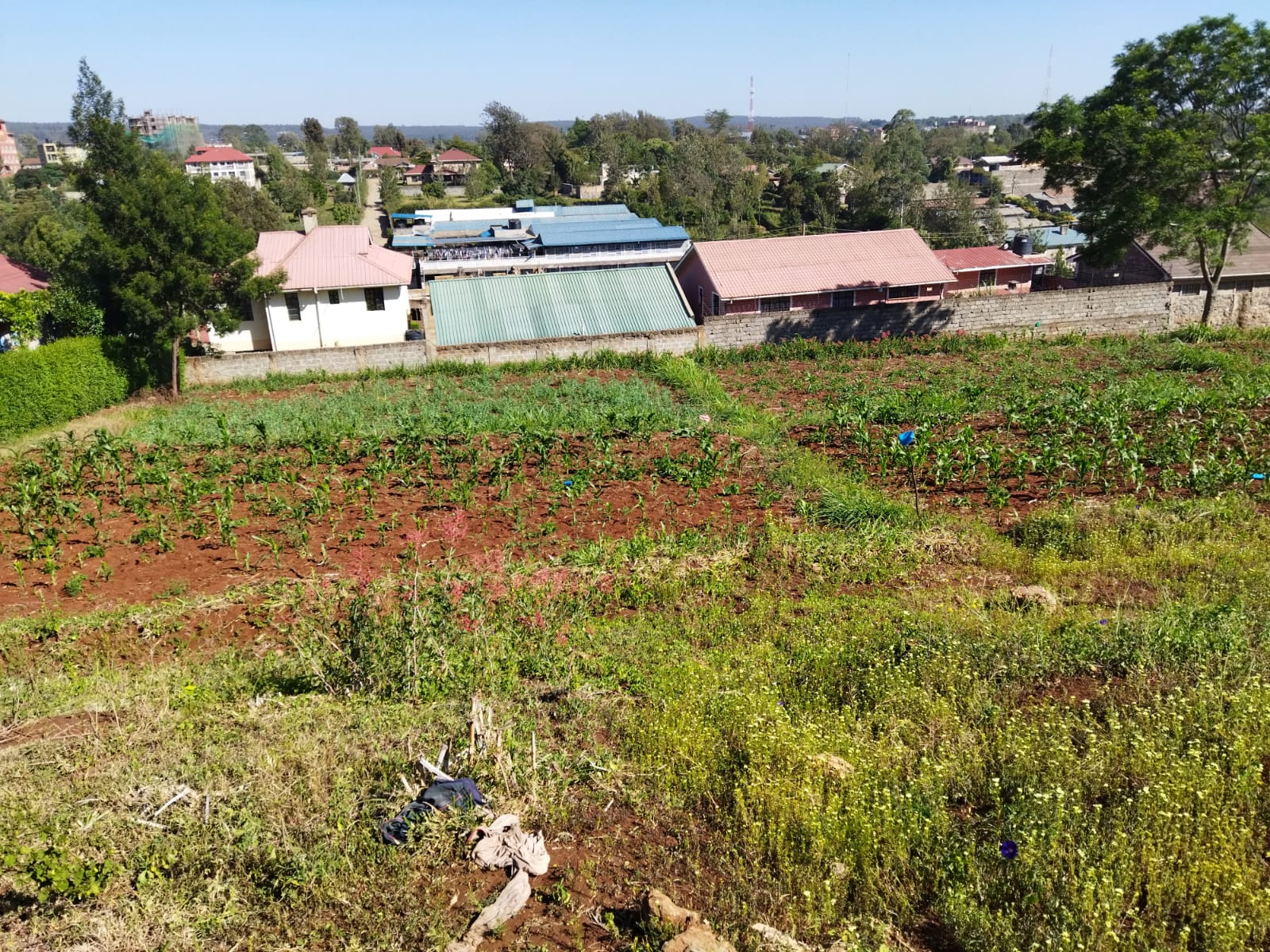 land_plot in Vet, Ngong