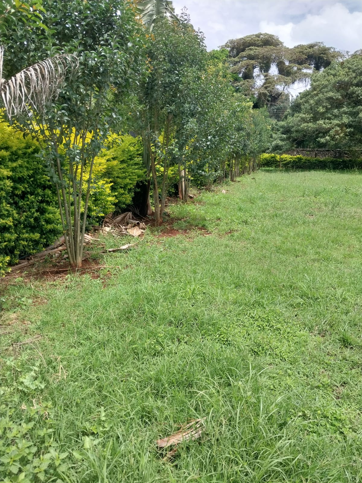 land_plot in Karen, Nairobi