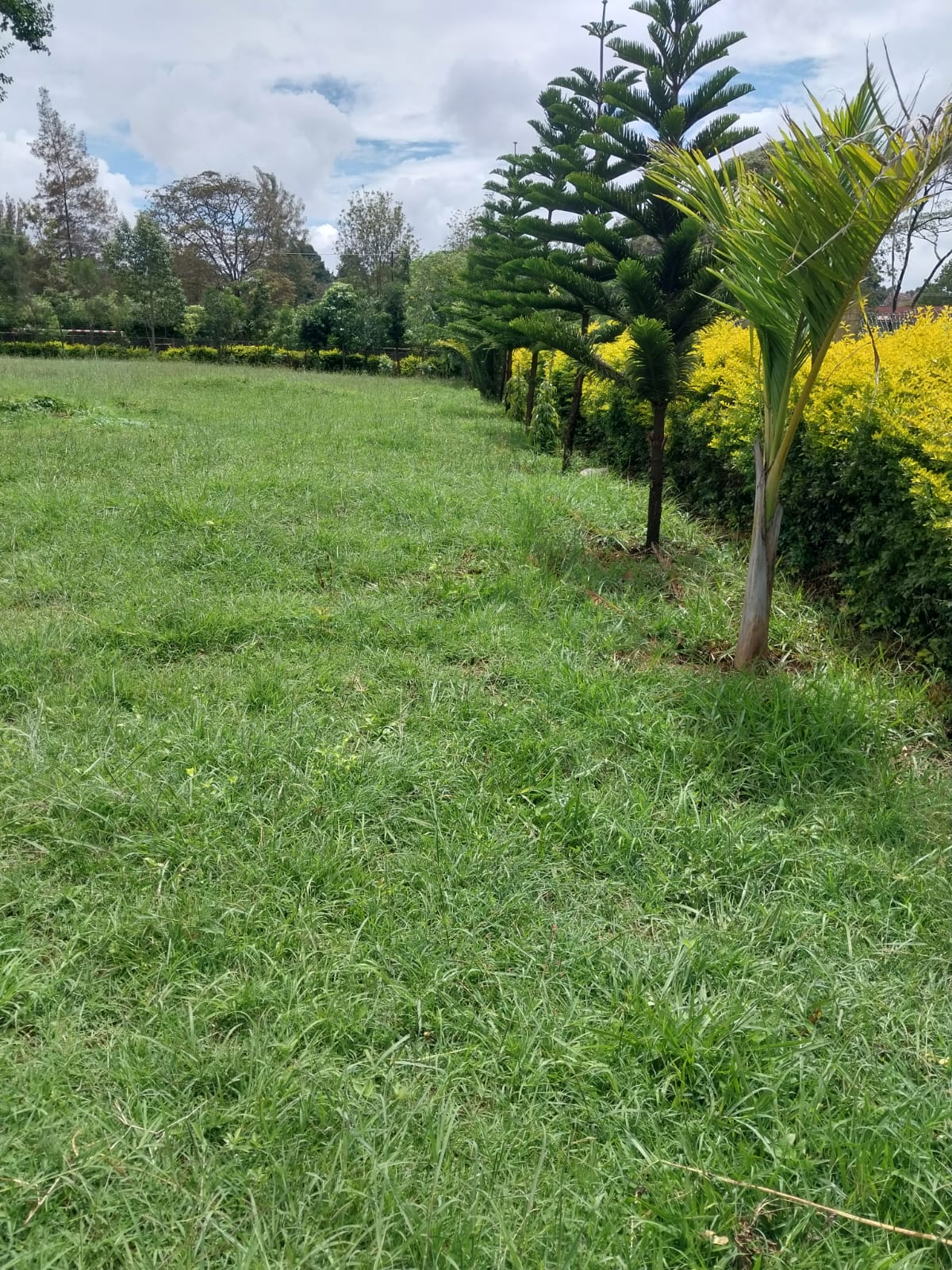 land_plot in Karen, Nairobi