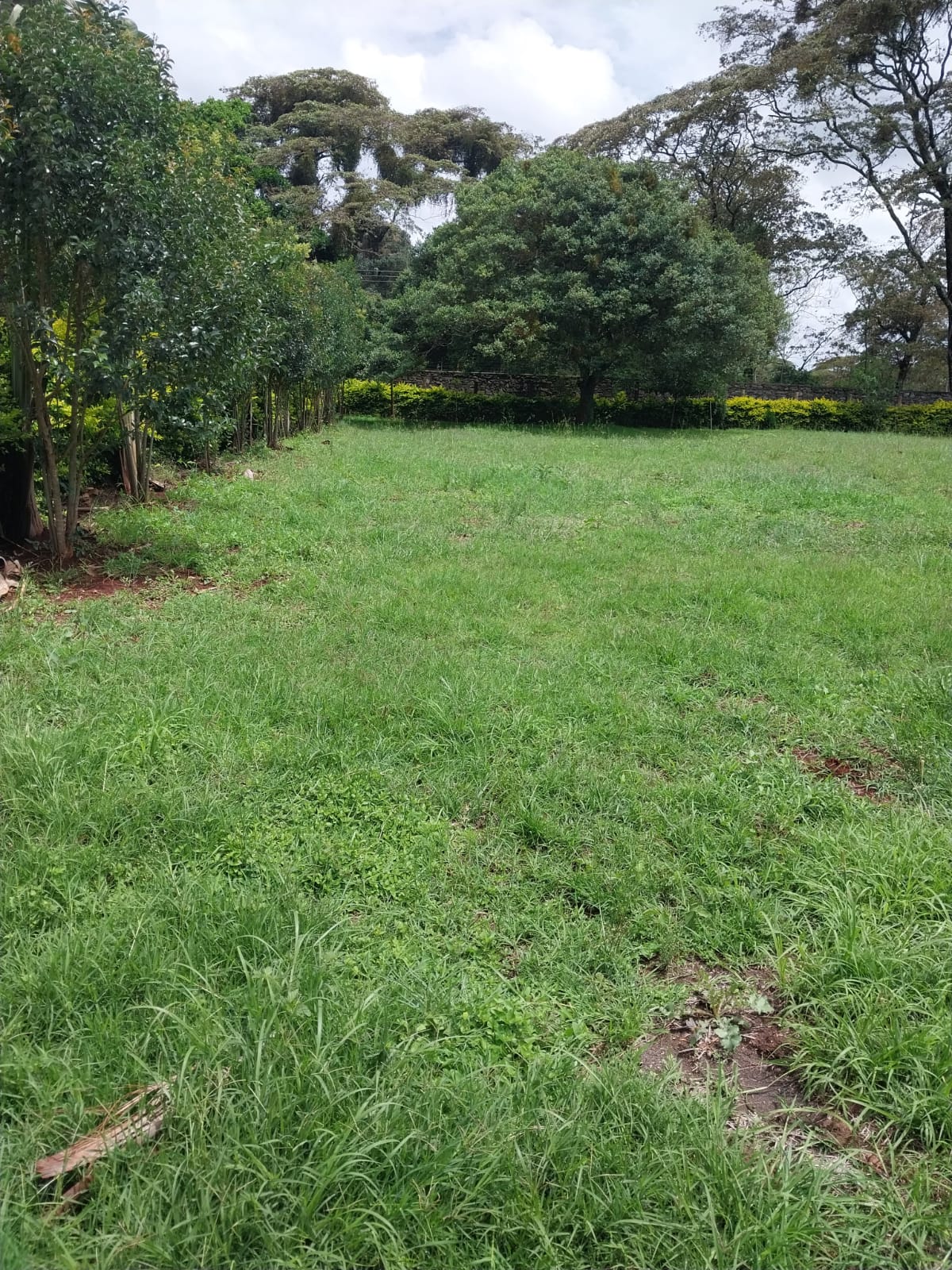 land_plot in Karen, Nairobi