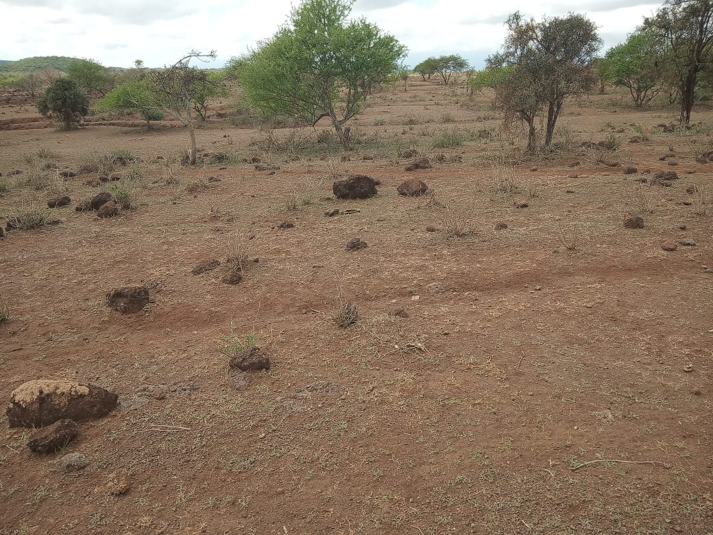 land_plot in Kimana, Loitoktok