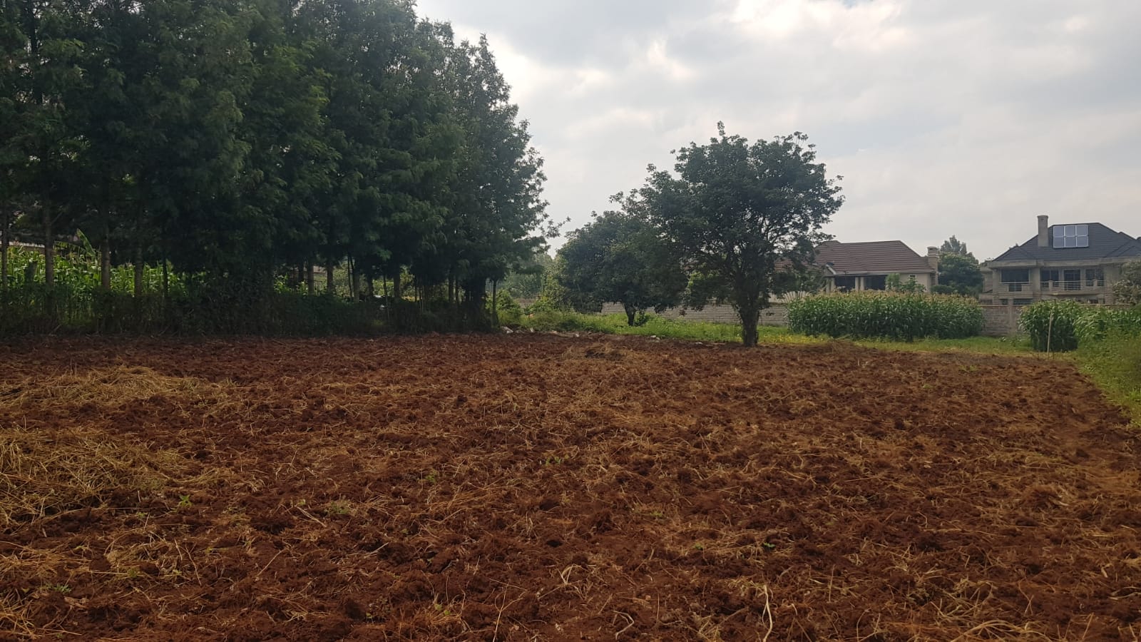 land_plot in Miotoni, Karen