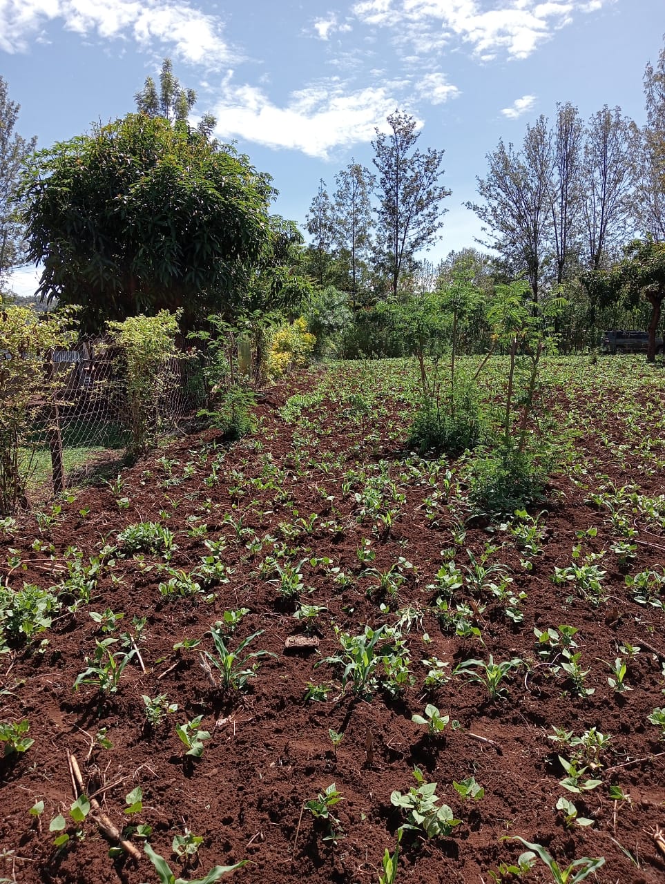 land_plot in Makutano-Sagana Road