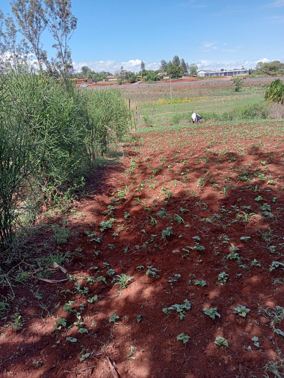 land_plot in Makutano-Sagana Road