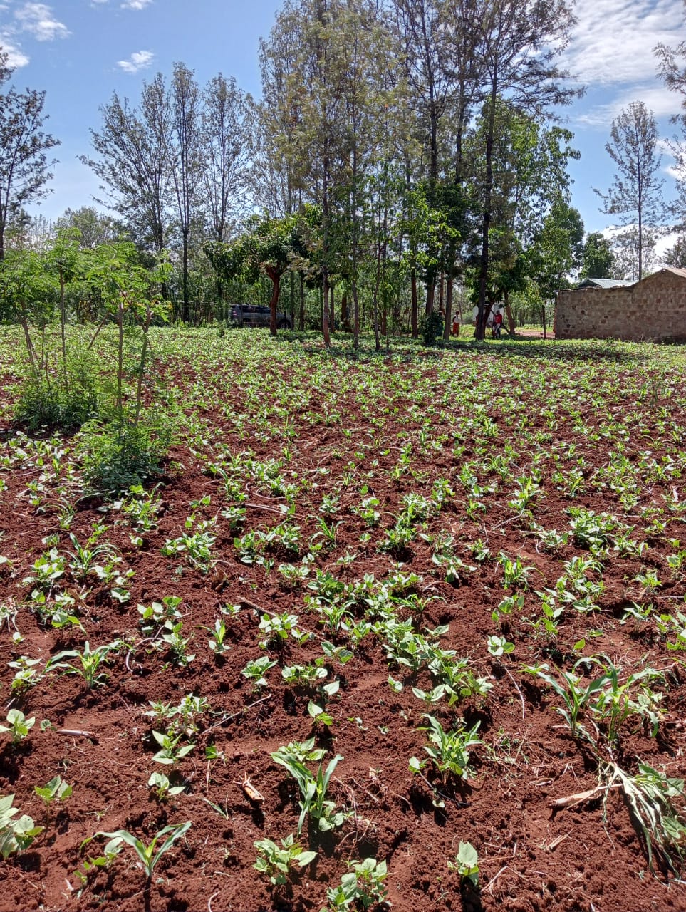 land_plot in Makutano-Sagana Road