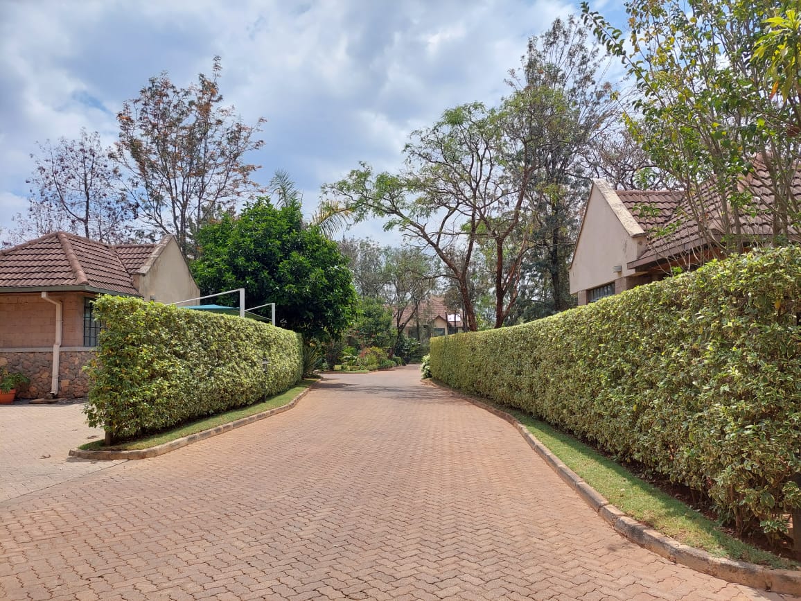 house in Bogani, Karen