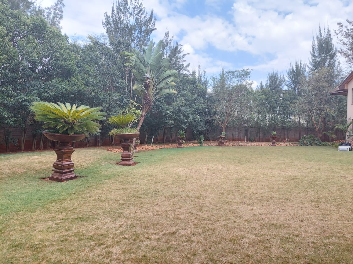 house in Bogani, Karen