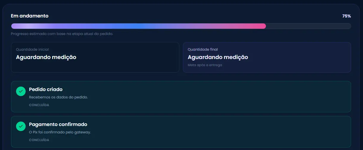 Acompahamento em tempo real da entrega da visualizações reels