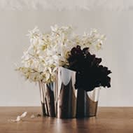Fold collection - Georg Jensen