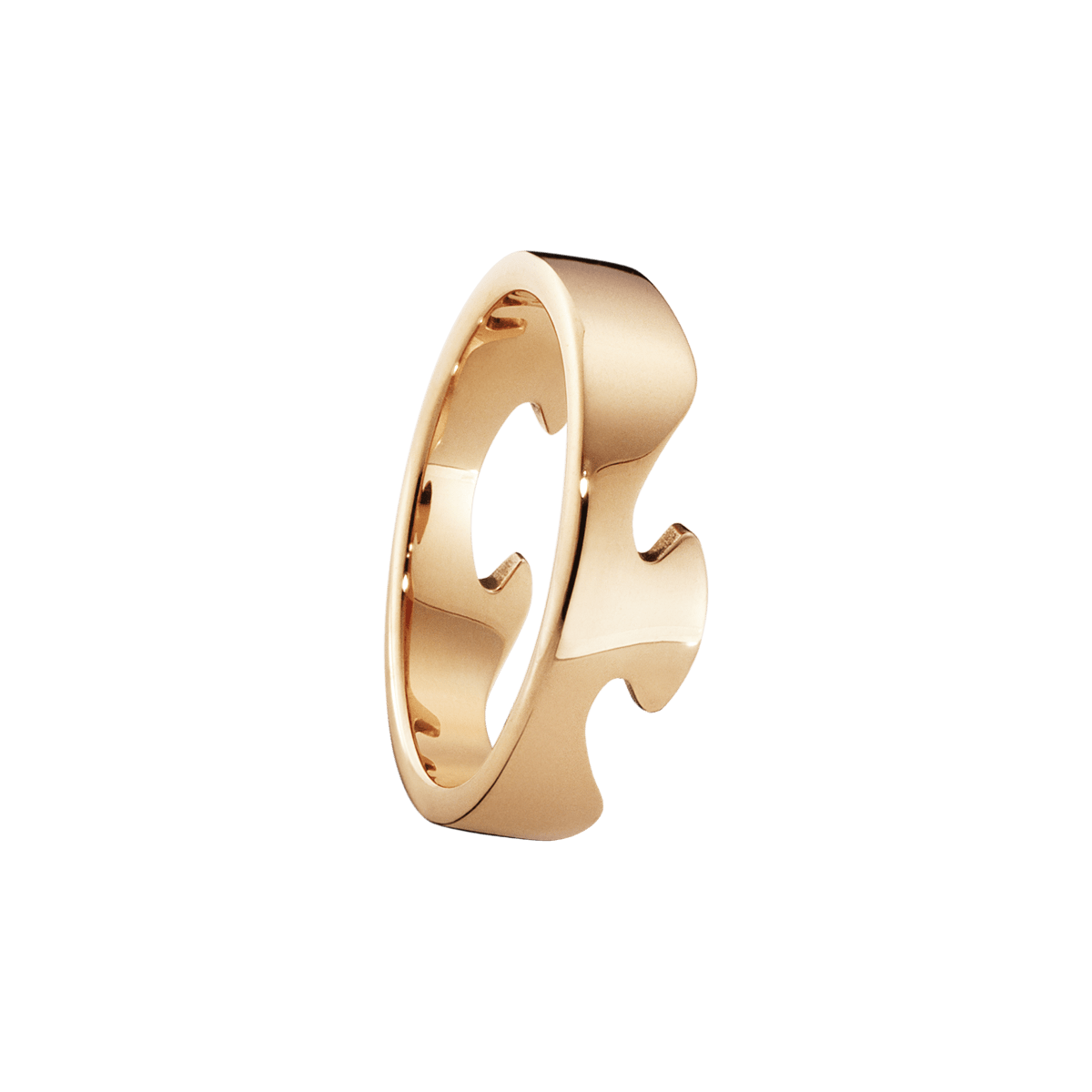 FUSION End Ring 6