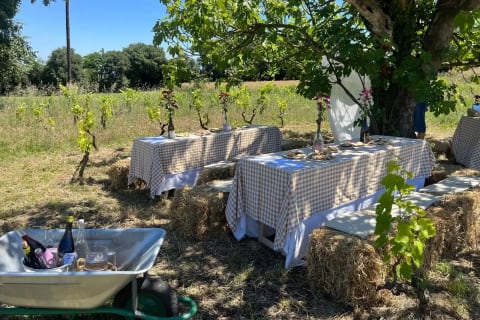 Enoturisme Ecològic a Celrà: Tast entre Vinyes. Tast de Vins, Formatges i Oli d'Oliva