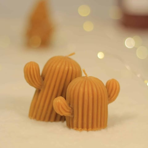 Espelmes de cera d'abella en forma de cactus (pack de 2)