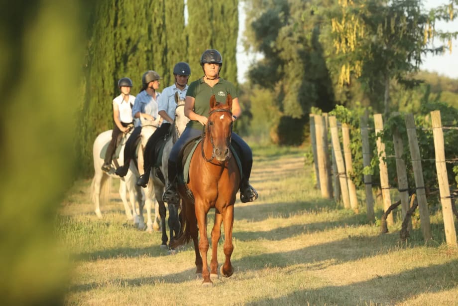 La vinya verda de l'Empordà a cavall