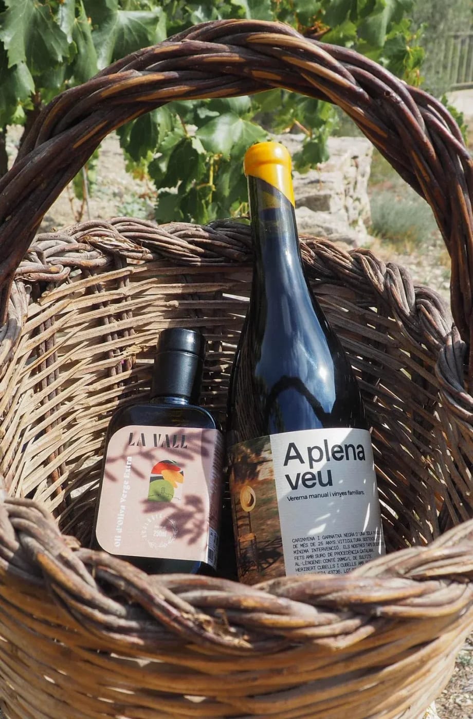Lot Duet "A Plena Veu": Oli d'Oliva Verge Extra i Vi Negre Ecològics