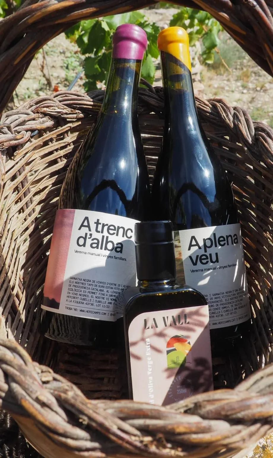 Lot Triple d'Oli d'Oliva Verge Extra i Vins Negres Ecològics