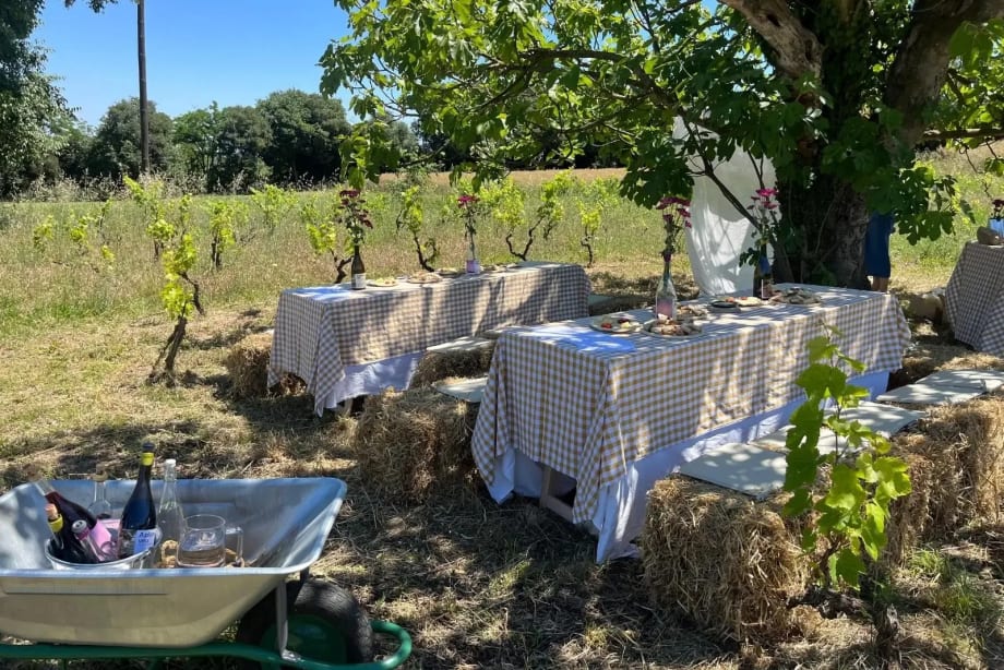 Enoturisme Ecològic a Celrà: Tast entre Vinyes. Tast de Vins, Formatges i Oli d'Oliva