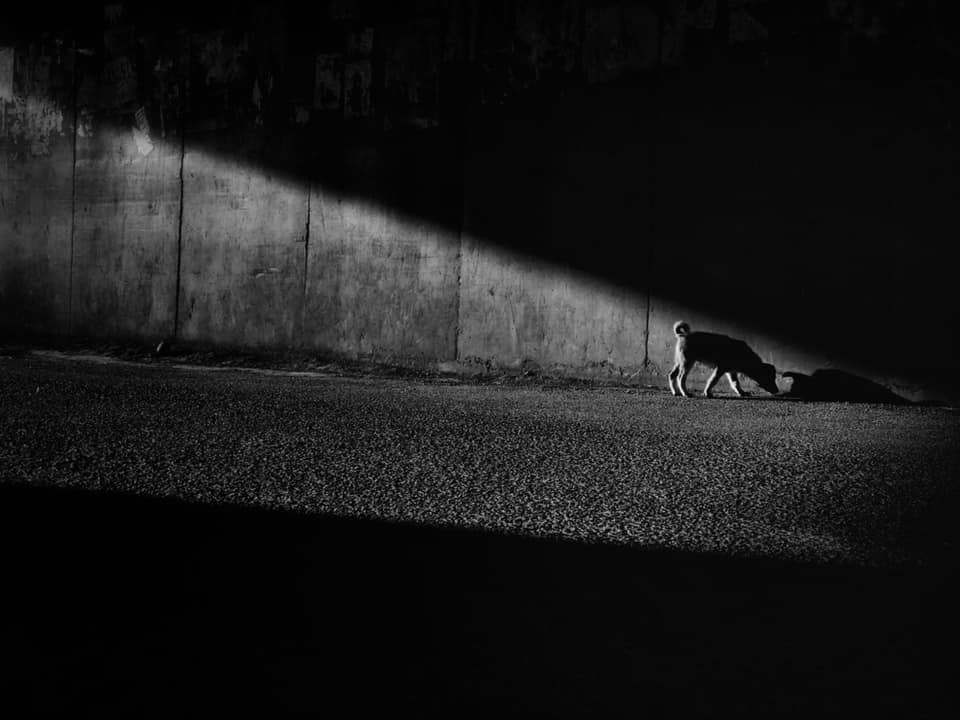 Streets of Addis