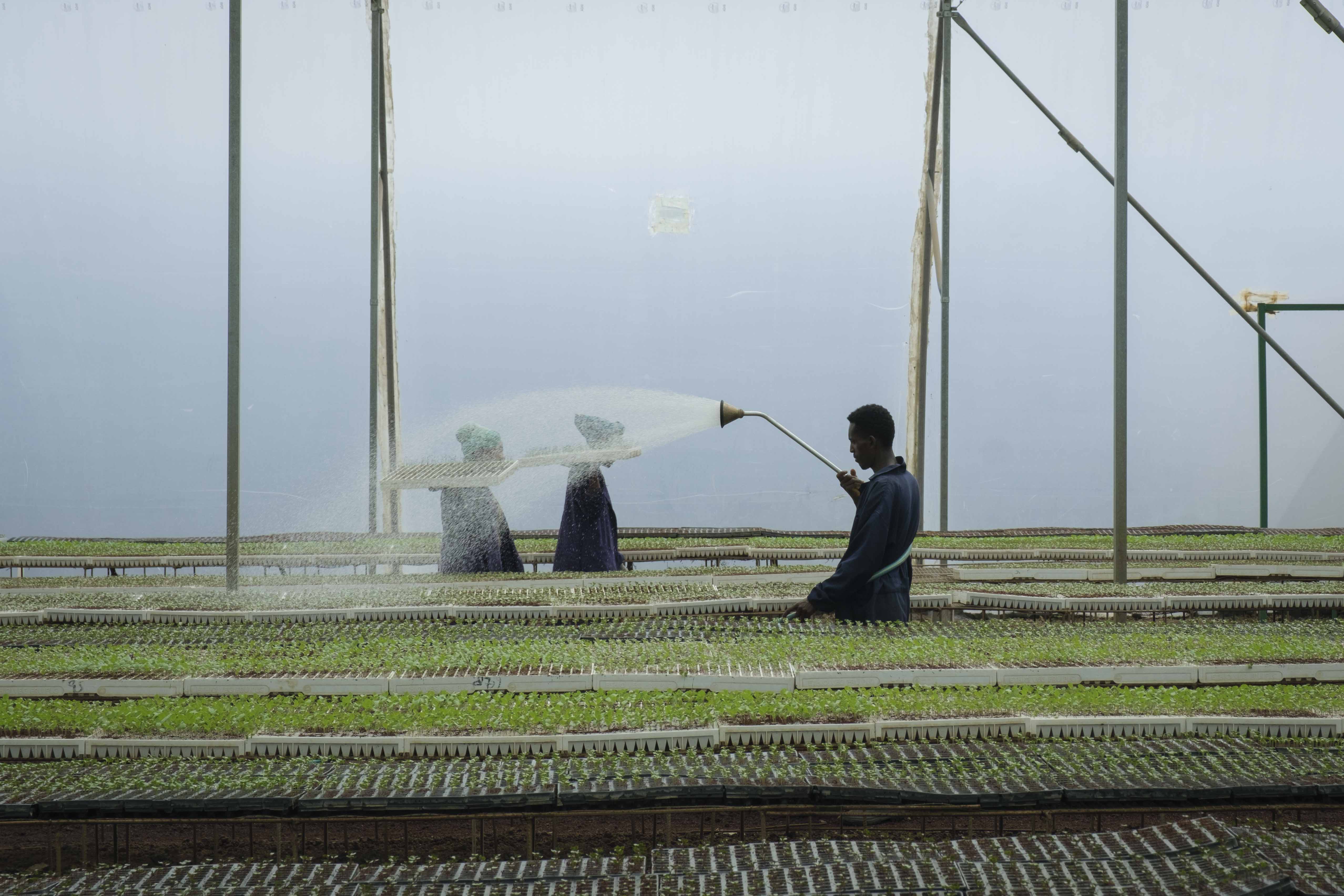 The Global Food Banking Network