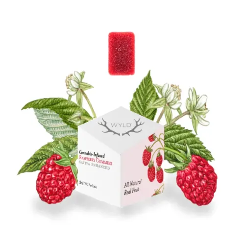 Real Fruit Raspberry Gummies  10mg (2)