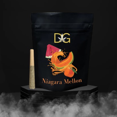 Dykstra Greenhouses  Niagara Mellon  PreRoll  0.5g (3)