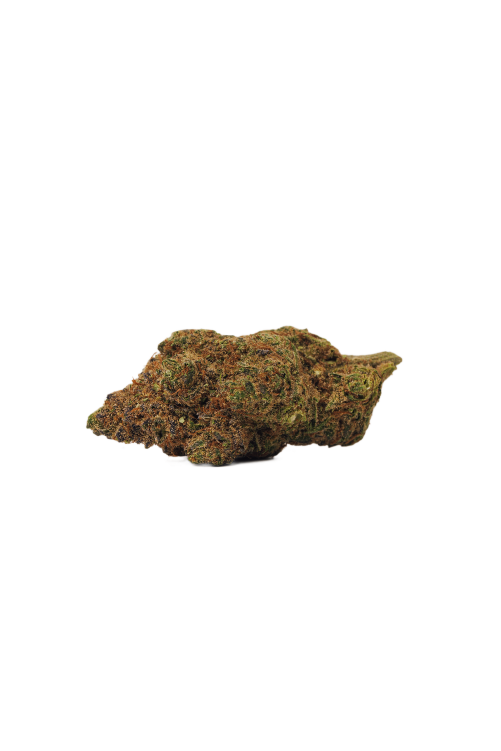 Bold Growth  Orange Crush