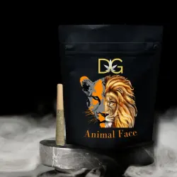 Product image Dykstra Greenhouses  Animal Face  PreRoll  0.5g (3) 1