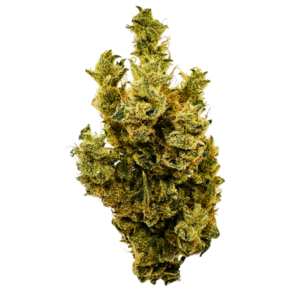BC Weed Co  Banana Mango