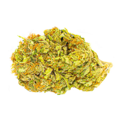 COLOR Mango Haze - Mango Haze Dried Flower