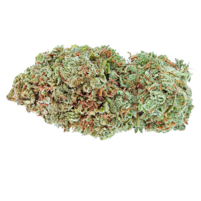 Amsterdam Sativa Dried Flower