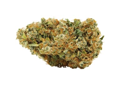SAGE N' SOUR FLOWER - 3.5