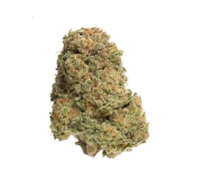 BANDWAGON INDICA - 28
