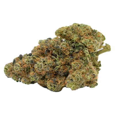 Garlic Jelly - 3.5g Dried Flower