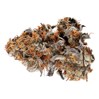 Gelato Mint - Tribal - Indica