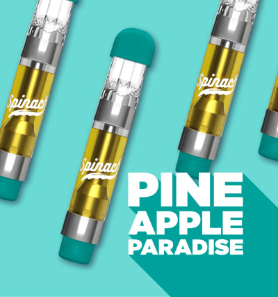 PINEAPPLE PARADISE CARTRIDGE - 1