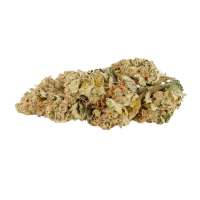 Dried Flower - Indica - Wedding Pie