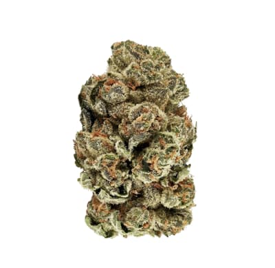 Kush Cookies - 3.5g in Golden