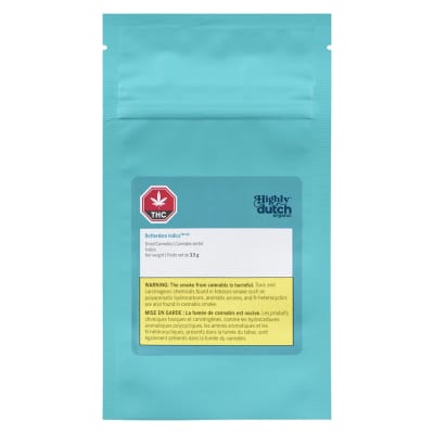 Rotterdam Indica