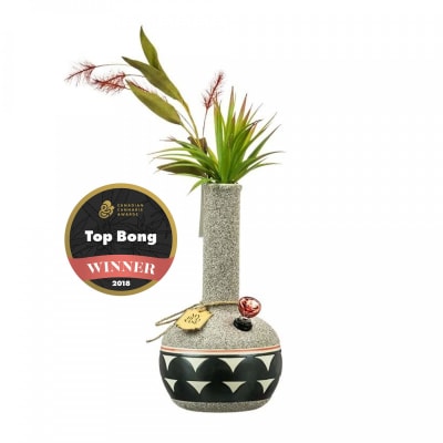 My Bud Vase - Coyote