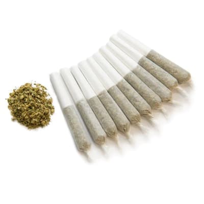 Ghost Train Haze 10 Pack - GHOST TRAIN HAZE PRE-ROLL - 3.5