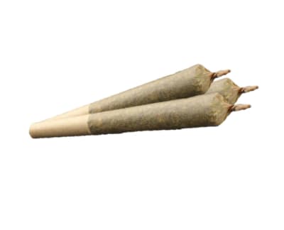 Sativa 20% Plus Pre-Roll 3-pack | 3g